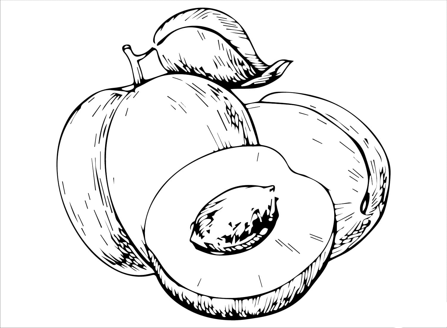 Buah aprikot gratis