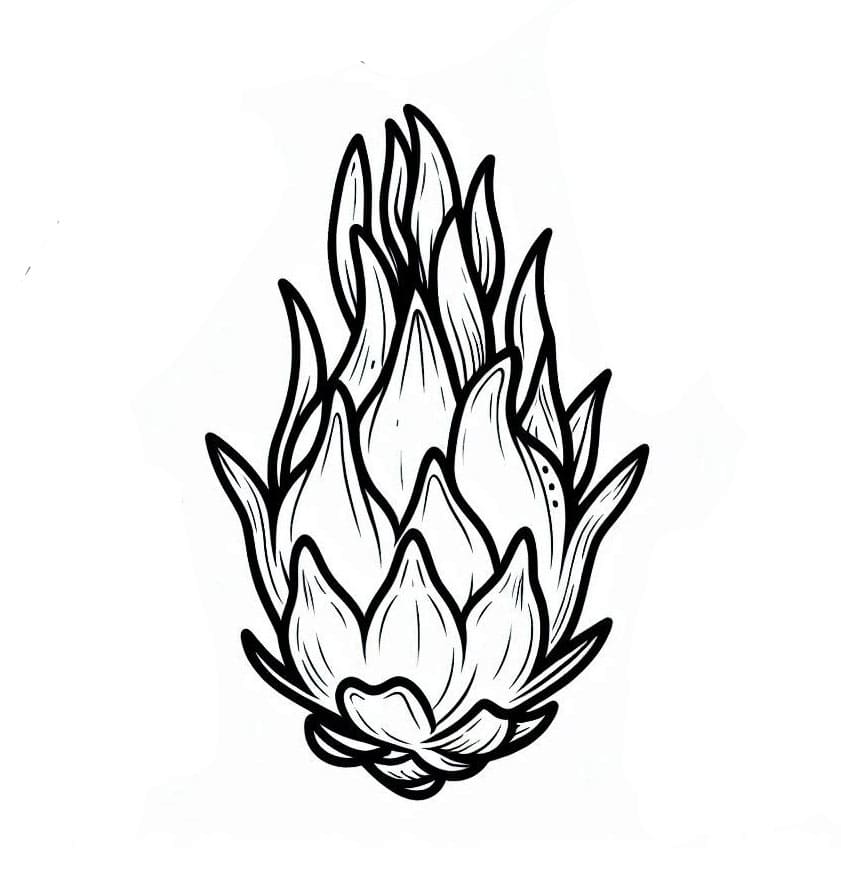 Buah Naga Hijau