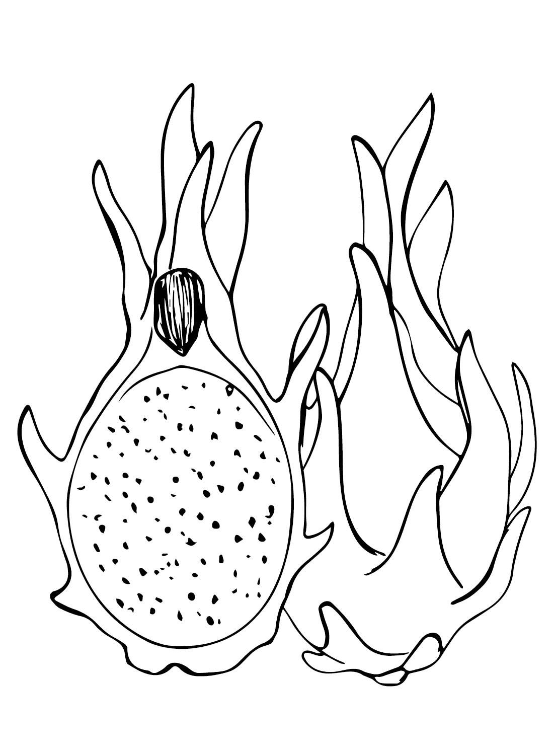 Buah Naga Merah