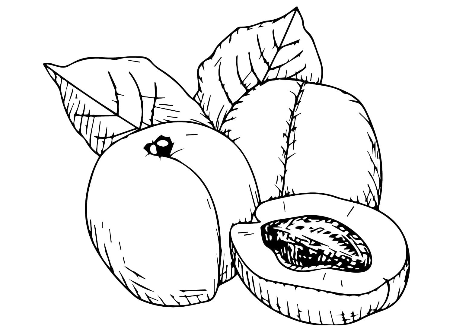 Buah tanpa aprikot
