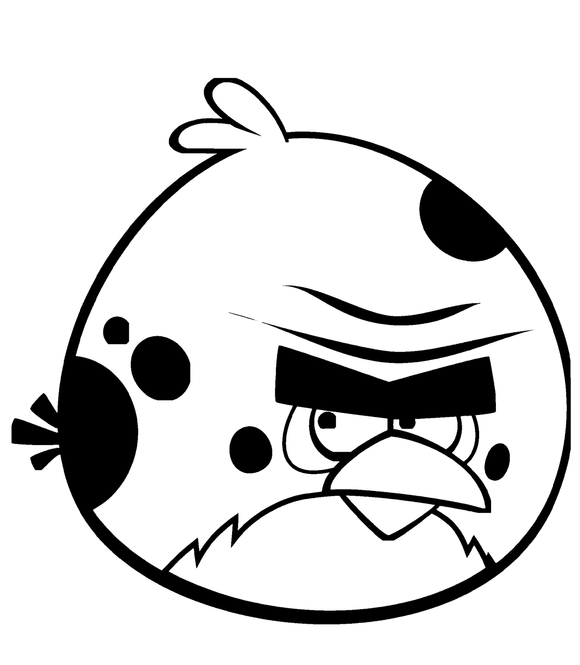Burung Terence