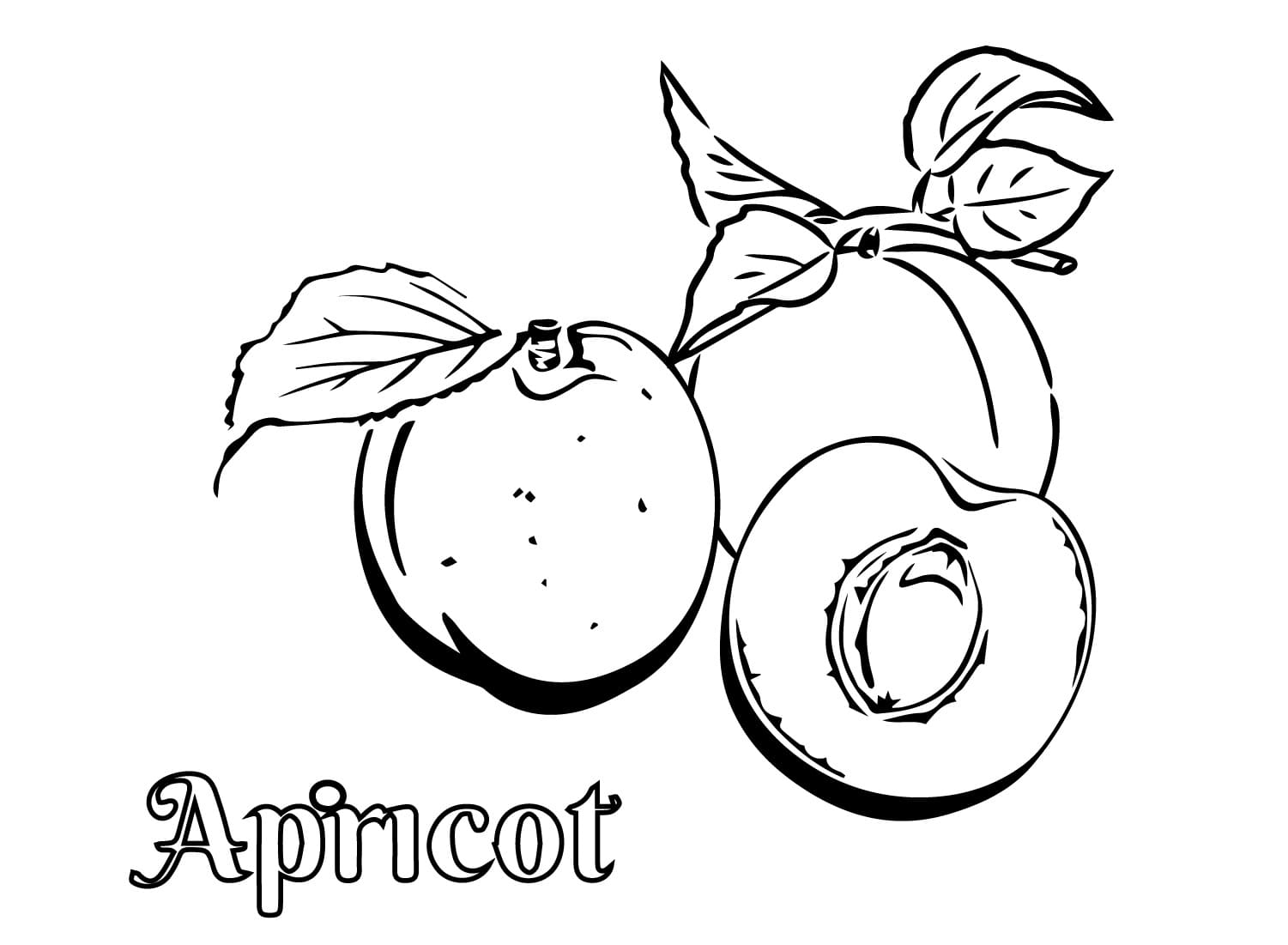 Cetak buah aprikot