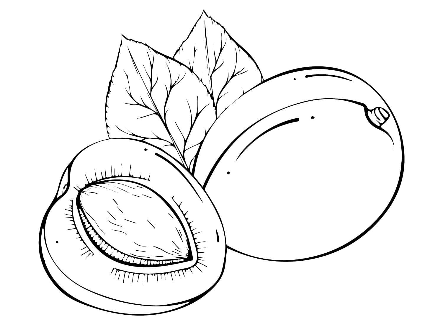 Gambar Buah Aprikot