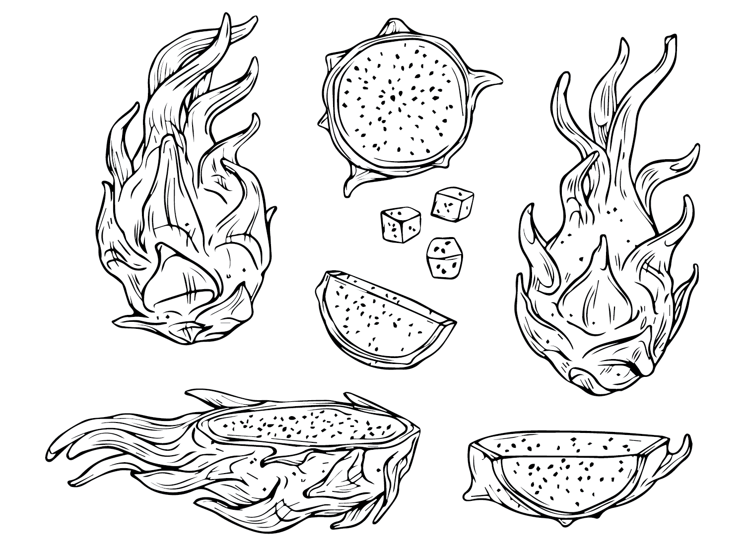 Gambar Buah Naga gratis