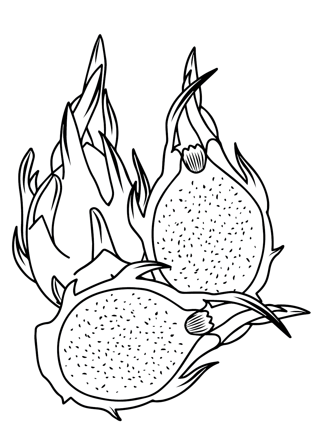 Menggambar Buah Naga