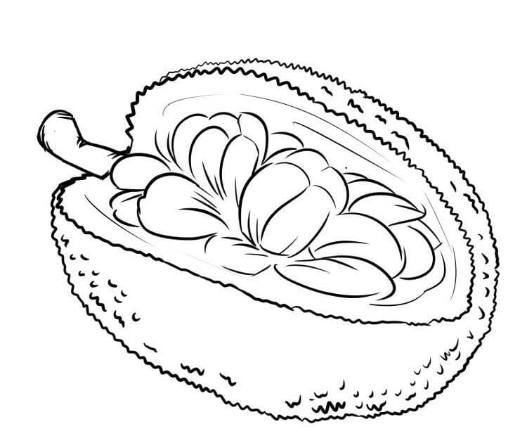 Buah Durian Gratis
