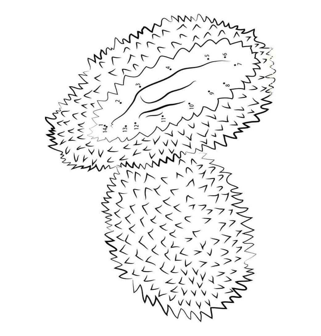 Dua durian gratis