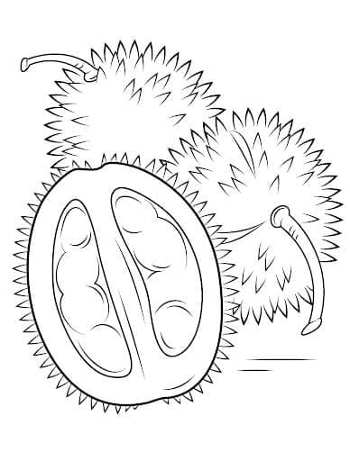 Durian Besar