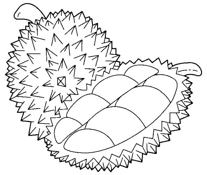 Durian Biasa dan Durian Setengah