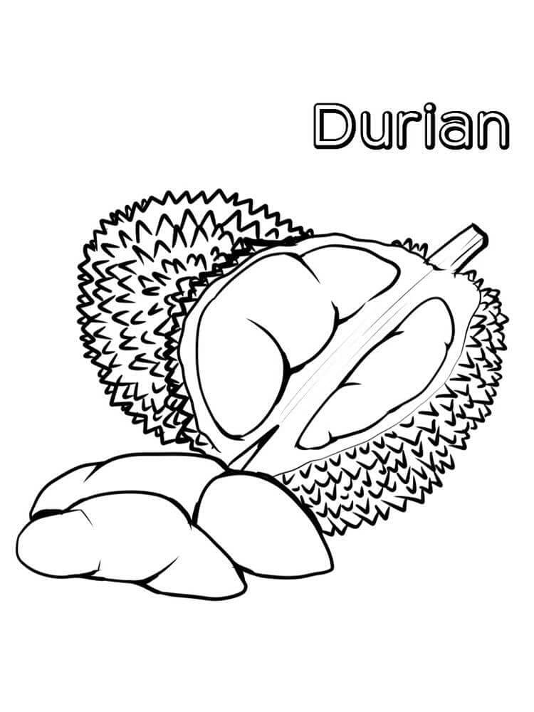 Durian Biasa gambar