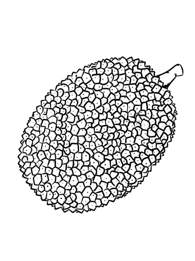 Durian Cantik