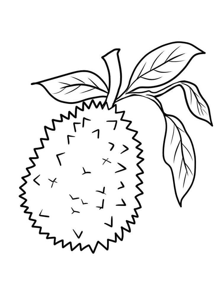 Durian dengan Daun