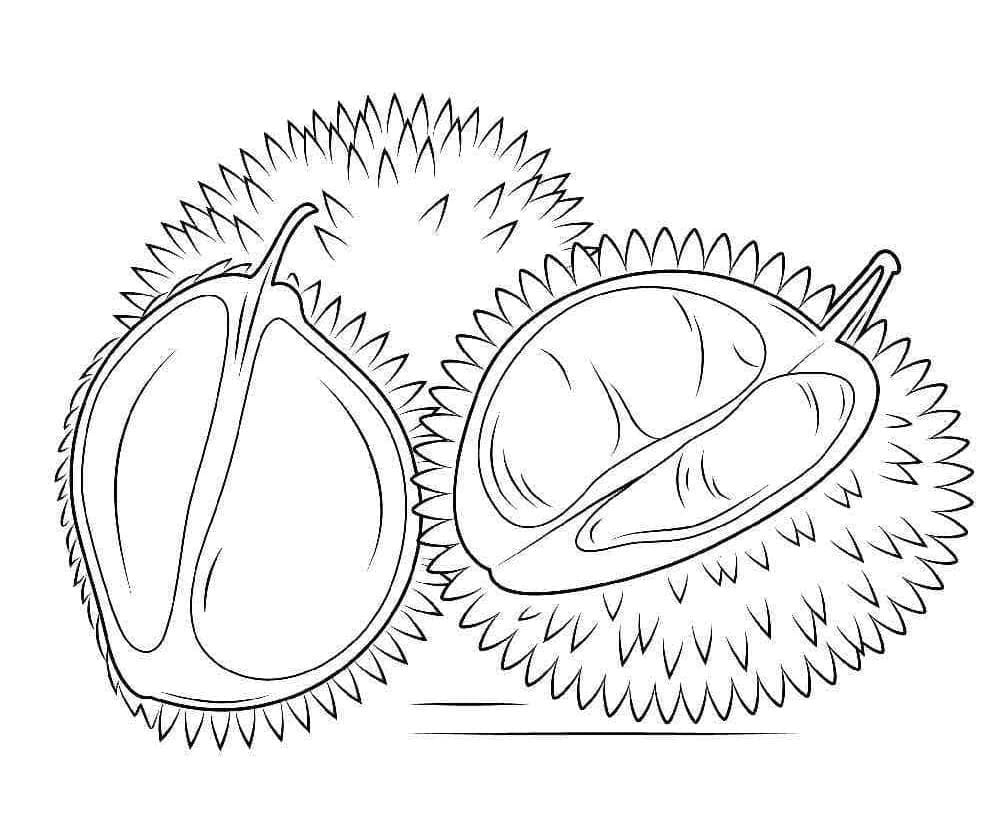 Durian gratis