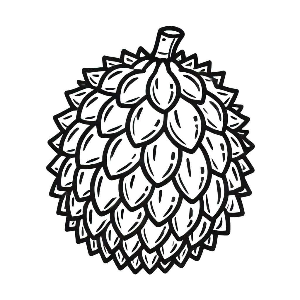 Durian manis biasa
