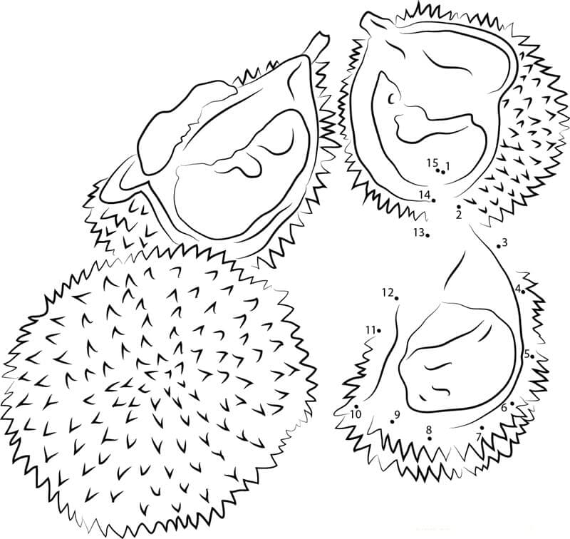 Durian Merah Titik ke Titik
