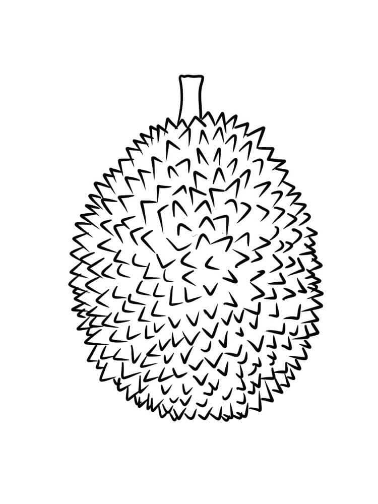 Durian Sederhana gambar