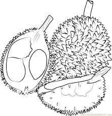 Durian Warna Berdasarkan Angka