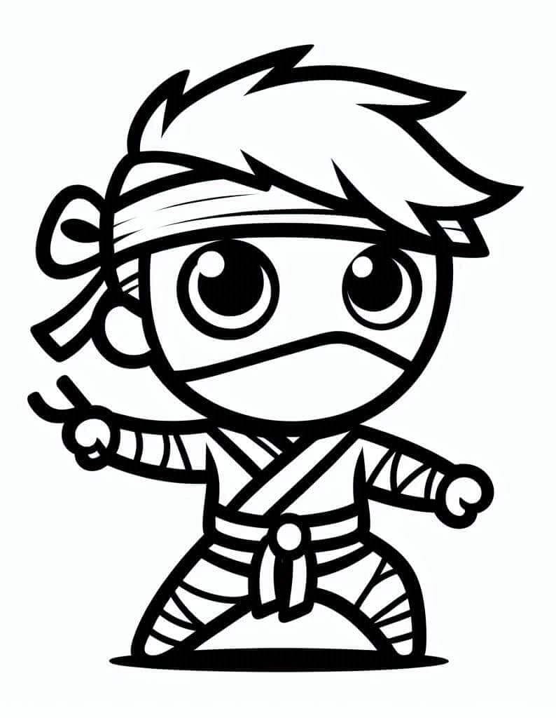Foto Ninja