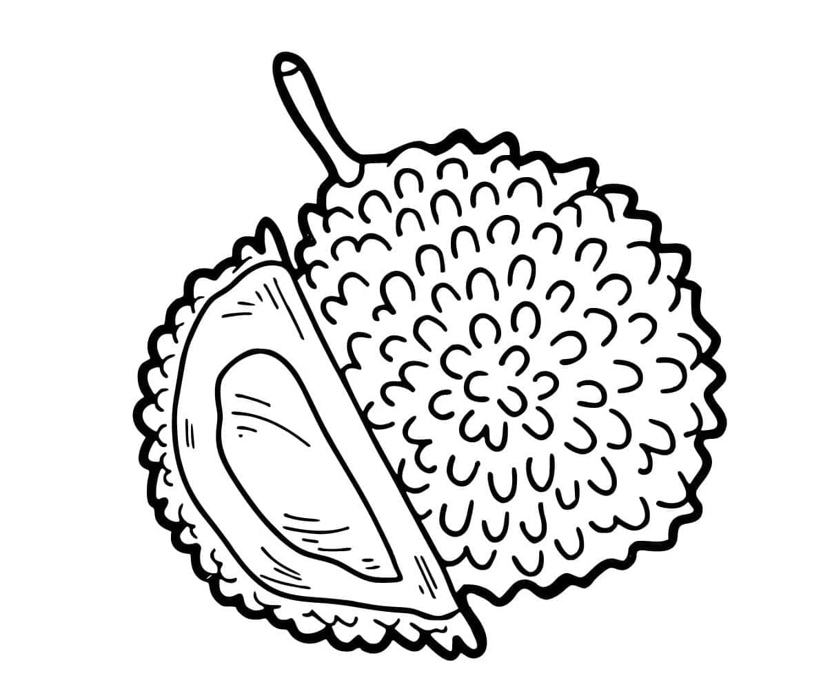 Gambar durian biasa