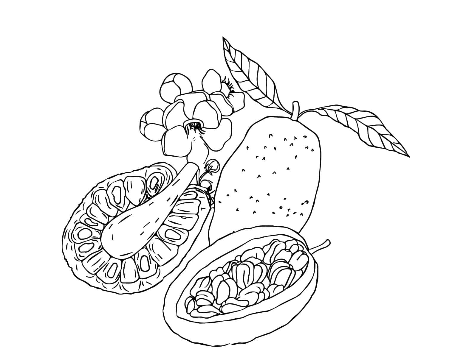 Gambar Nangka
