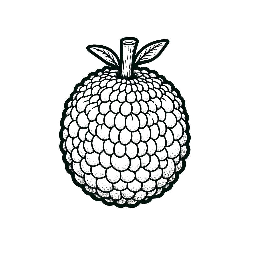 Nangka biasa