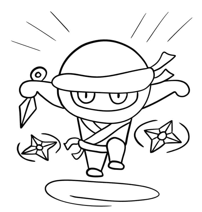 Ninja Kecil