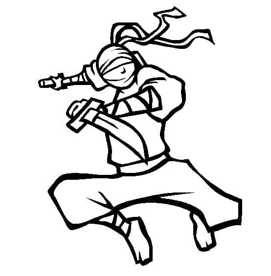 Ninja Menyerang