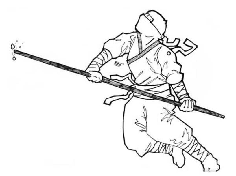 Ninja yang Fantastis
