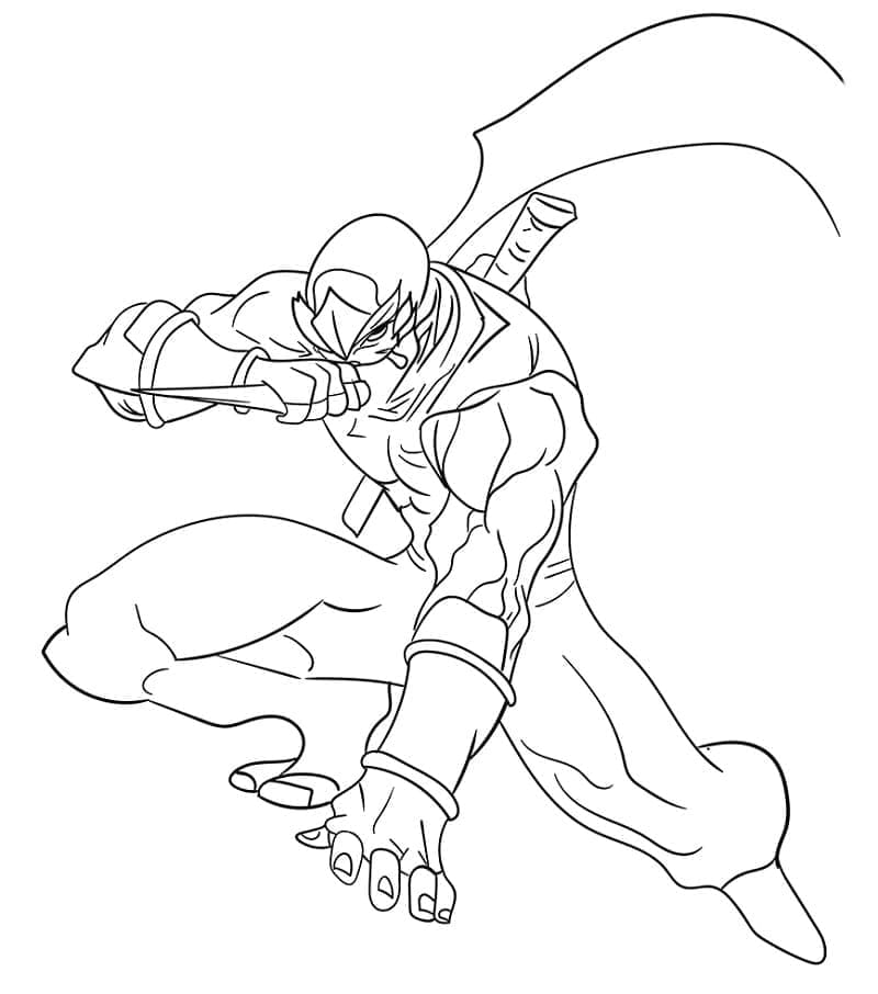 Ninja yang Luar Biasa