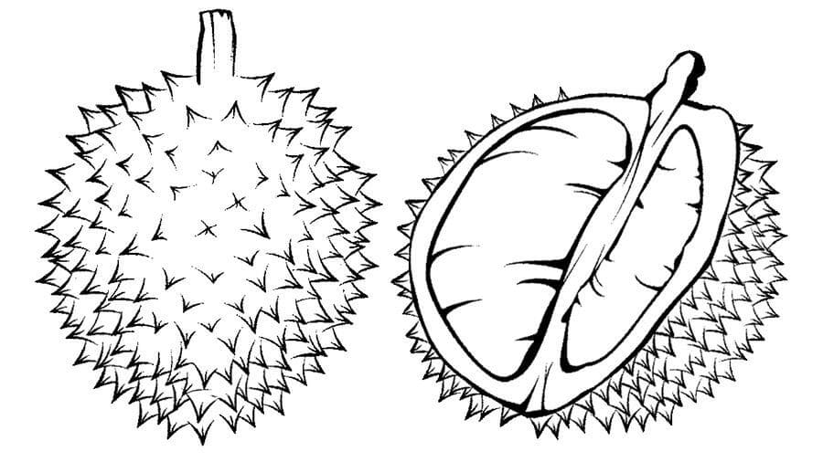 Satu Durian dan Setengah Durian
