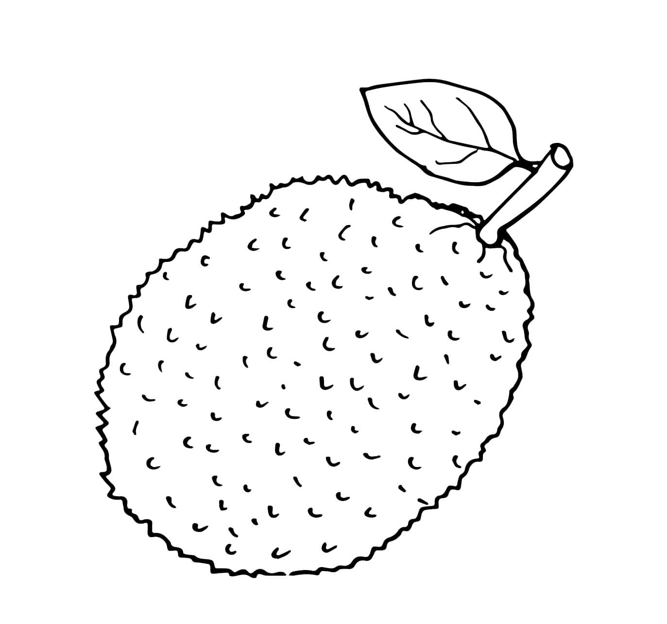 Sketsa nangka