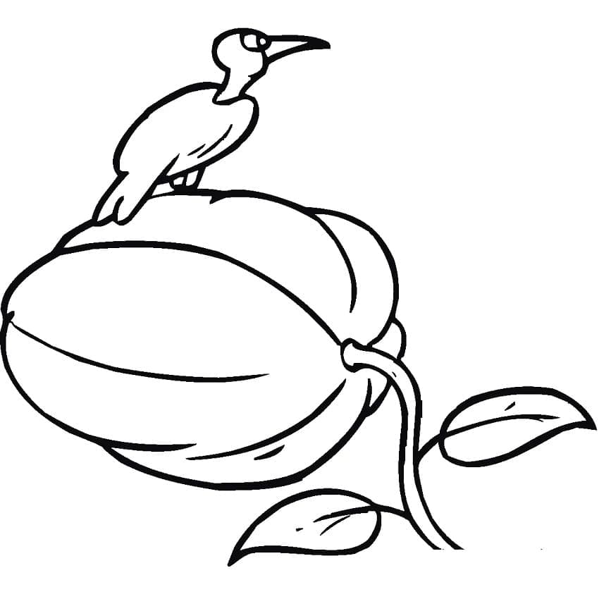 Burung di atas Labu Kuning