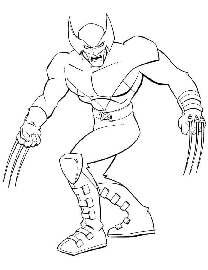 Garis besar Wolverine