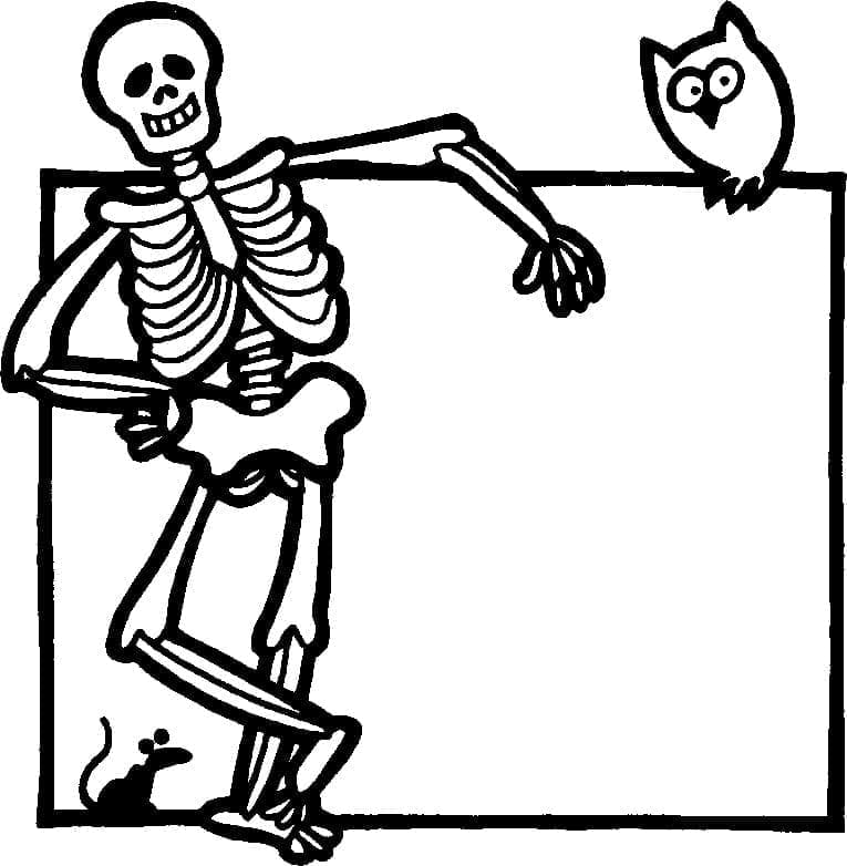 Kerangka dan burung hantu