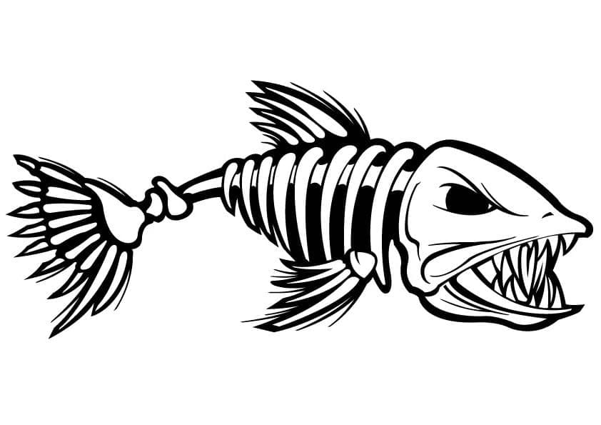 Kerangka ikan