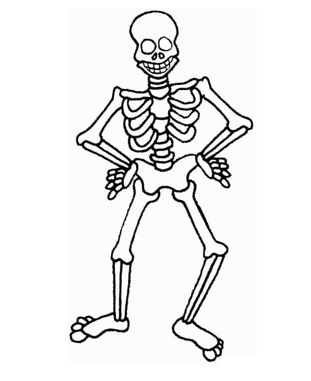 Kerangka kartun