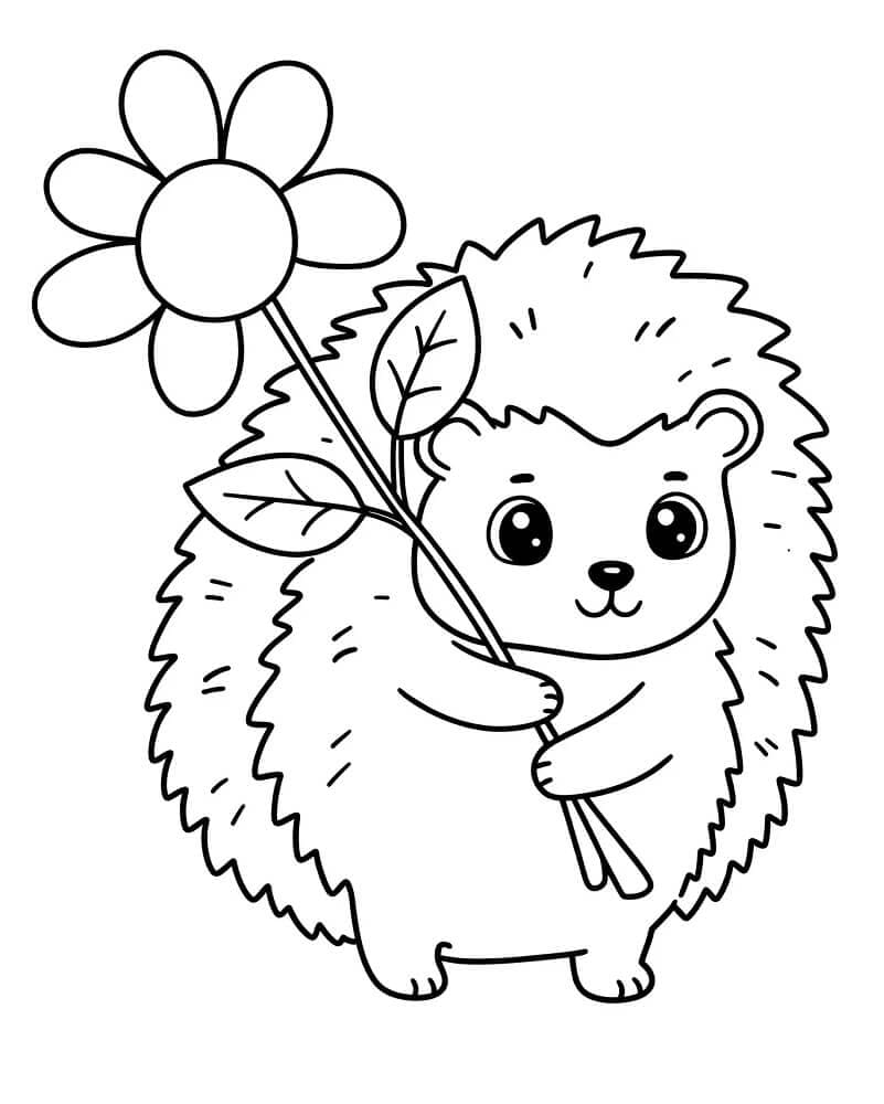 Landak Lucu