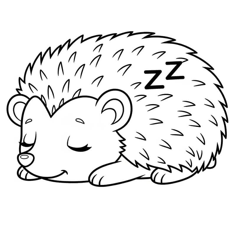 Landak Tidur gratis