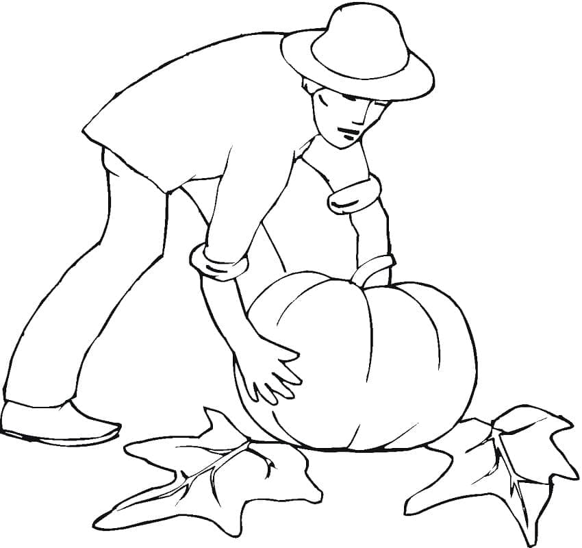 Petani dan Labu Kuning