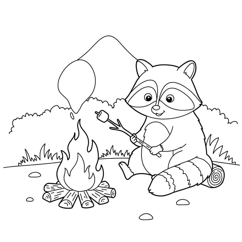 Piknik rakun