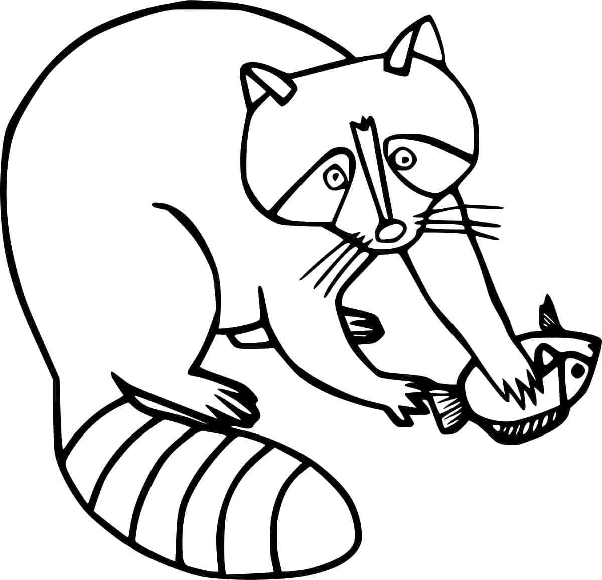 Rakun dengan Ikan