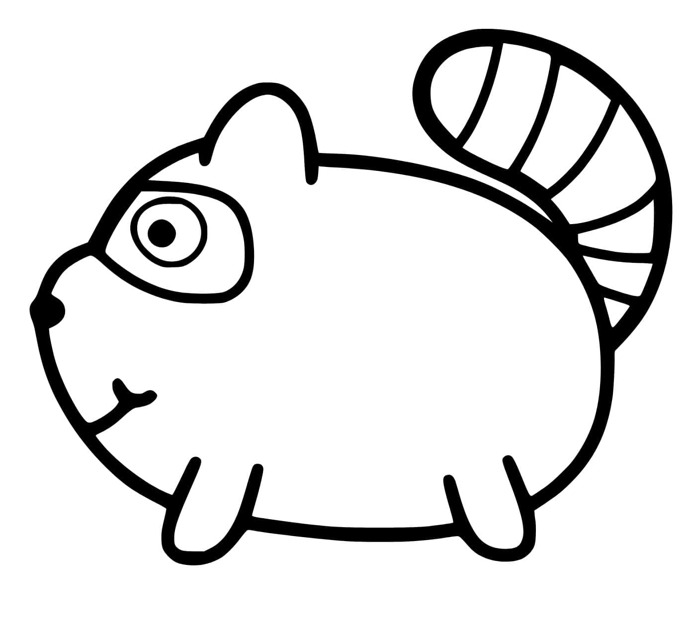 Rakun Lucu dan Imut