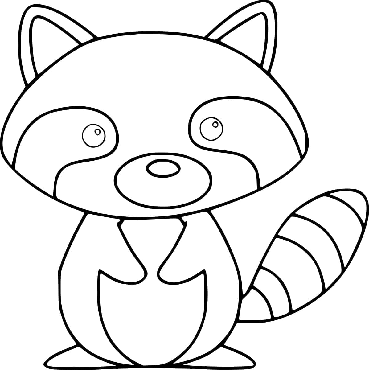 Rakun yang Lucu