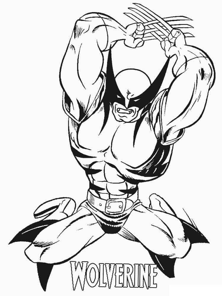 Serigala Wolverine