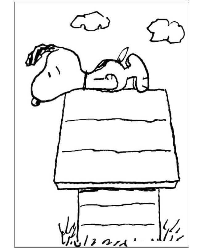 Snoopy Berbohong di Stan