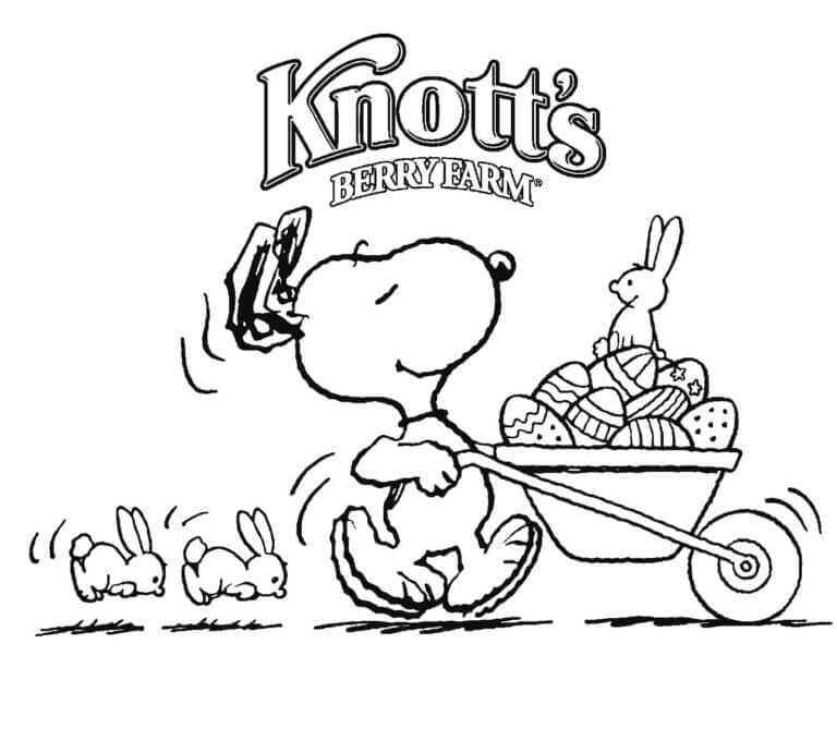 Snoopy dan Kelinci