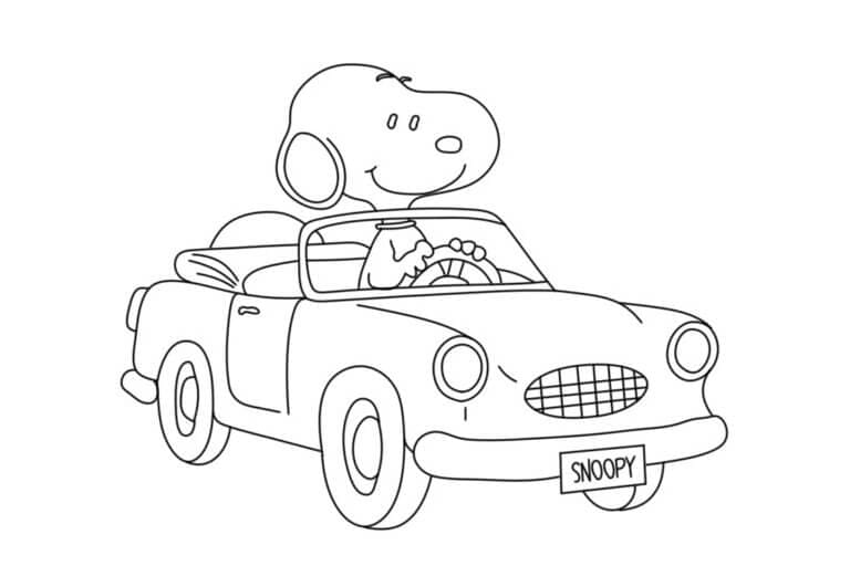 Snoopy Mengemudi Mobil