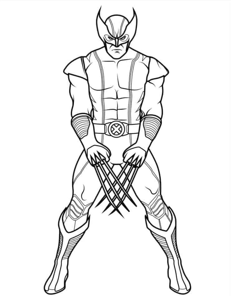 Wolverine 5