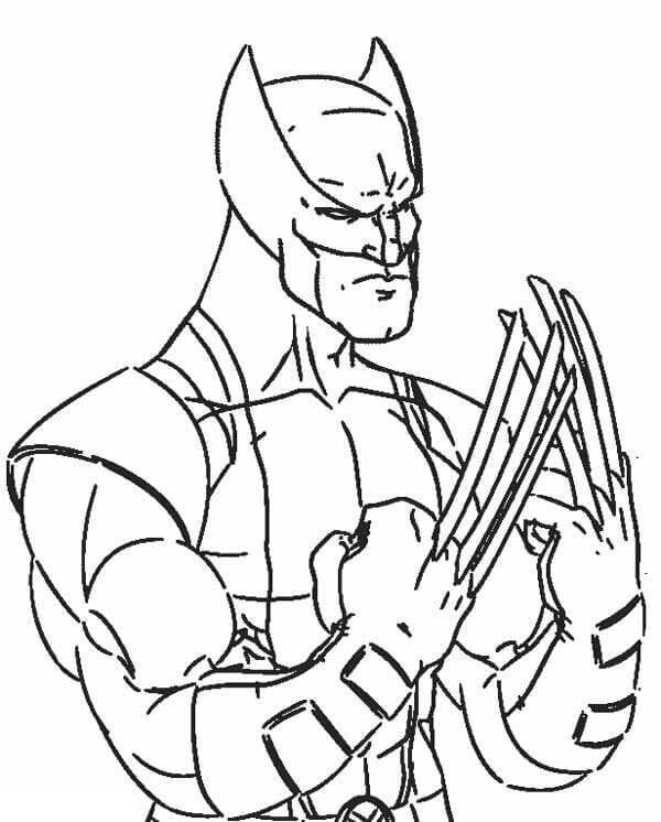 Wolverine Bercakar