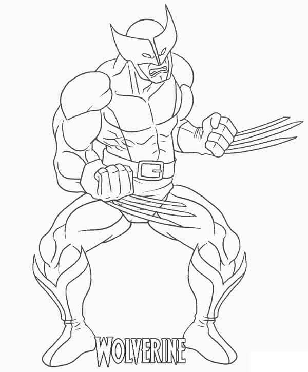 Wolverine marah